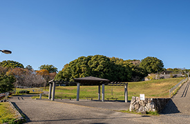樹木公園