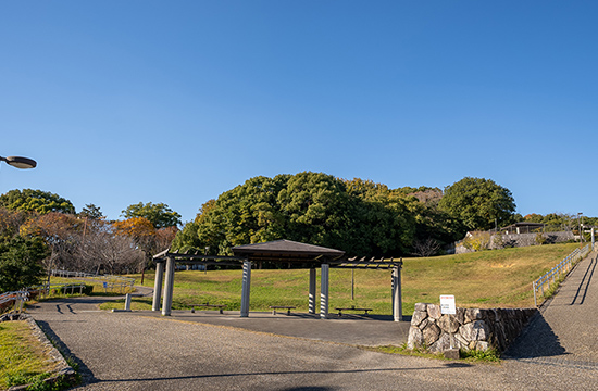 樹木公園