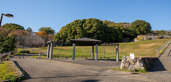 樹木公園